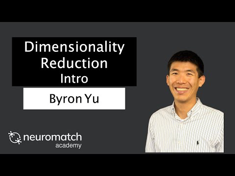 Dimensionality Reduction Intro
