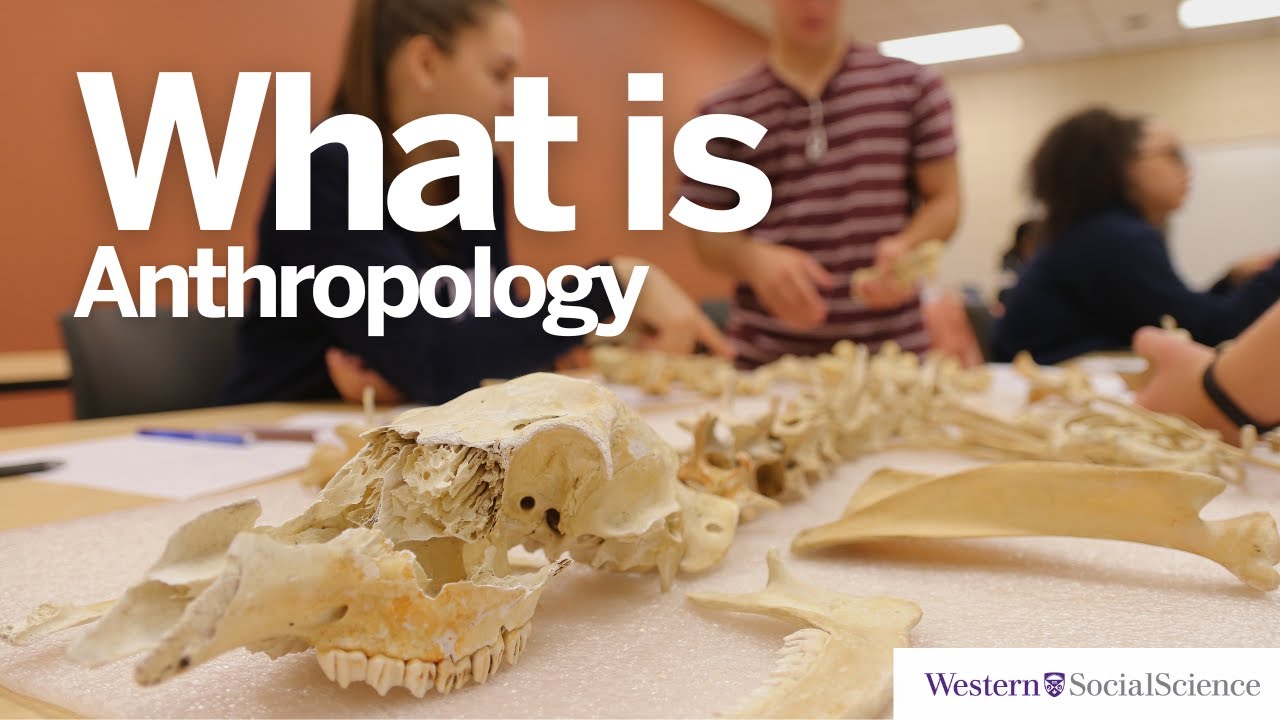 An Introduction to Anthropology