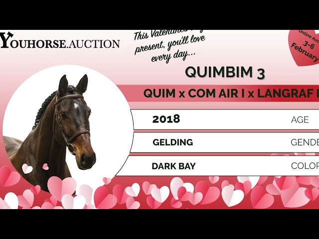 Quimbim 3 @ the show