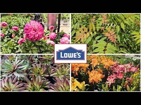 NEW ARRIVALS & Memorial Day Sale! Lowes Garden Center May 2024
