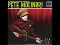 Pete Molinari - It Came Out Of The Wilderness