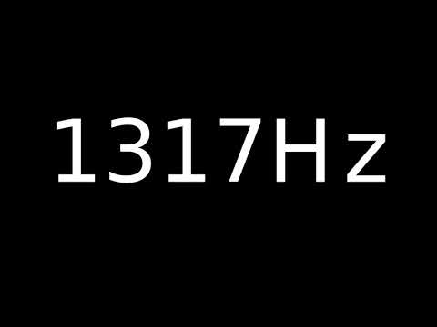 Speaker Sound Test 1317Hz