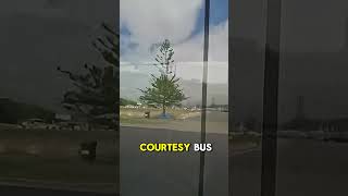 Arriving in Eden, Australia | Ashore Then Alfredo’s on Royal Princess #shorts #PrincessCruises