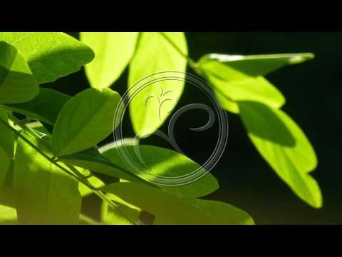 Mininome - Mind your Head (Original Mix)