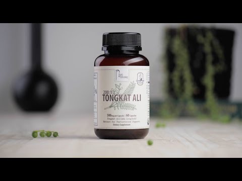 Introducing TONGKAT ALI // Testosterone and Stress Support
