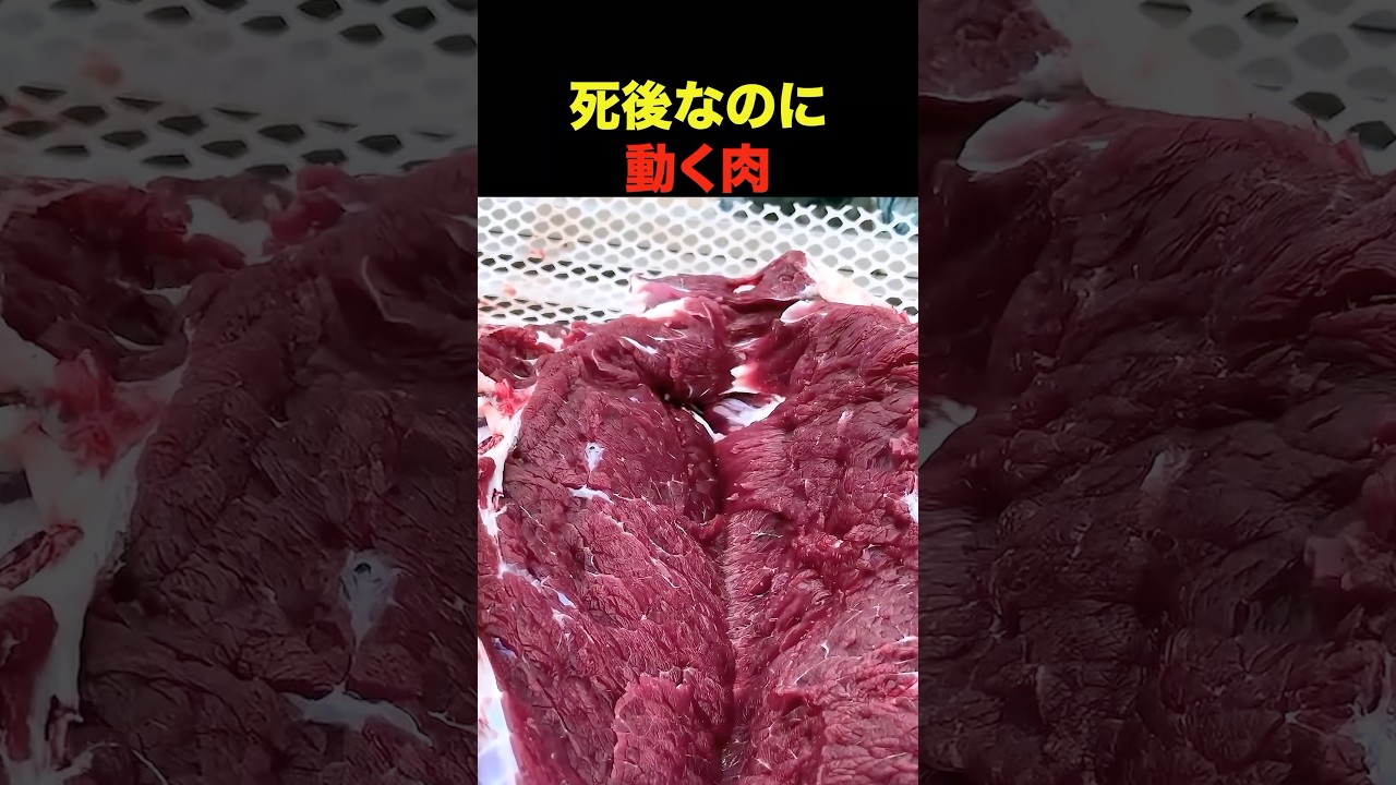 死後なのに動く肉