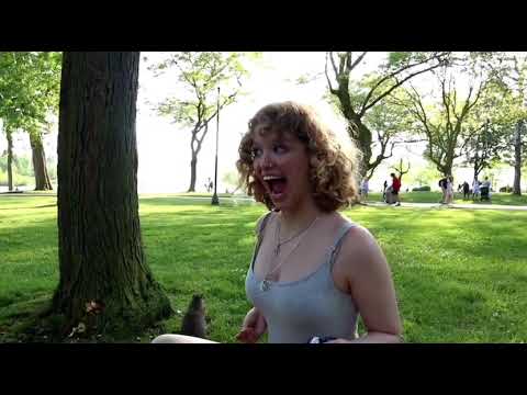 Such inoccent creatures