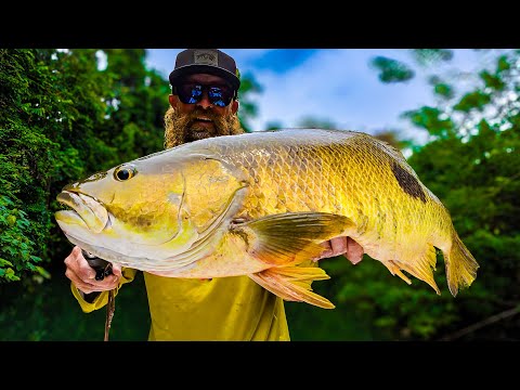 EPIC TOPWATER PNG JUNGLE BASS FISHING!