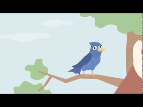 GrapeSEED Curriculum: Animals Play