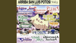 Con una Mano en la Frente