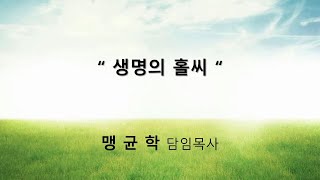 설교 동영상 메인 