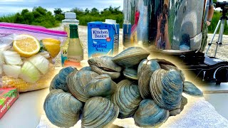 Foraging For Wild Clams | Delicious BIG Pot Clam Boil And SHUCKING Them RAW