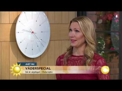 Så är algläget i Östersjön - Nyhetsmorgon (TV4)