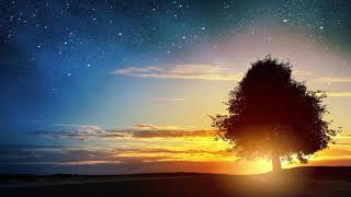 Beautiful Relaxing peaceful instrumental music "Quiet Shores" by Tim Janis