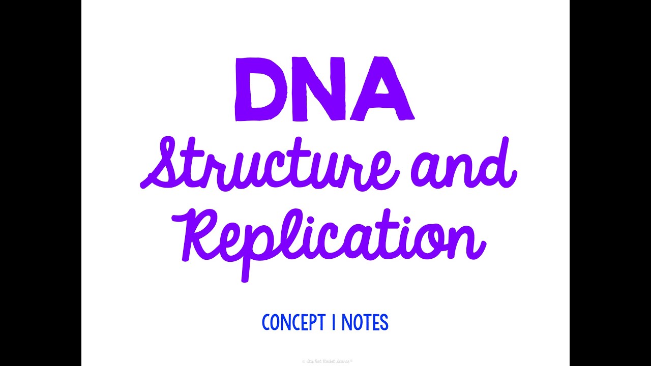 Unit 4 Genetics Concept 1 Notes *UPDATED*