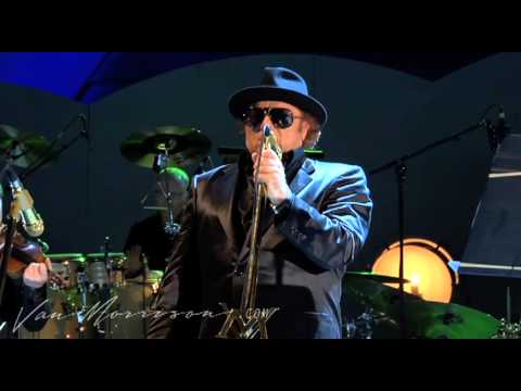Van Morrison - The Way Young Lovers Do  (live at the Hollywood Bowl, 2008)