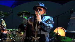 Van Morrison - The Way Young Lovers Do  (live at the Hollywood Bowl, 2008)