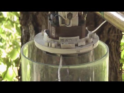 Wasps v vacuum motor powered weed eater