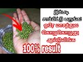 How To Gain Weight Naturally In 30 Days Weight Gain Tips In Tamil Best Way To Gain Weight