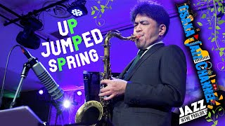 Up Jumped Spring