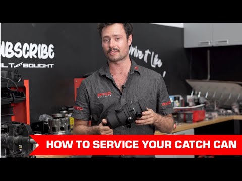 How to Service Your Catch Can