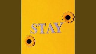 stay Music Video