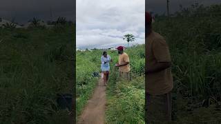 Download lagu #dj #electronicmusic #housemusic #edm #dance #edms #musicgenre mp3