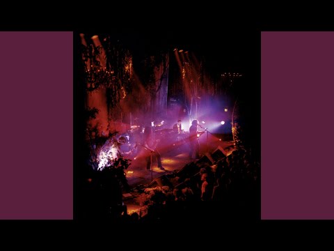 Video thumbnail for Lowdown (Live)