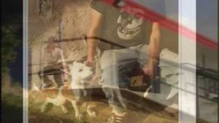 The Brian Jonestown Massacre - The Way It Was