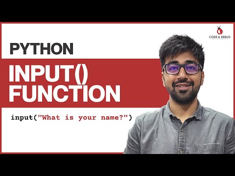 Input Function In Python Taking Input From Users Class 12 Python Core Advance Course
