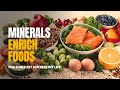 Minerals 10 Foods Rich In Minerals And Important Minerals You Need