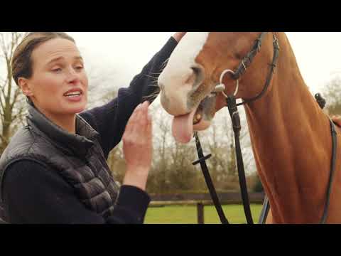 Francesca Explains EP7 - What Distance