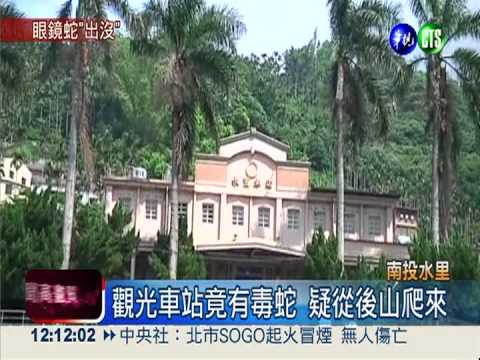 水里火車站竄蛇! 10歲童遭咬傷