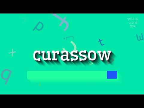 CURASSOW - HOW TO PRONOUNCE CURASSOW? #curassow
