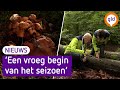 Nu al volop paddenstoelen, Ruud is er blij mee