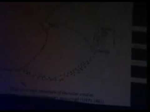 Maurice Cotterell  ~ Secrets of the Super Gods ~ 1 / 19