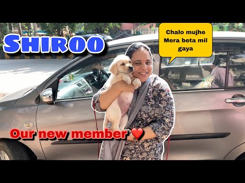 OUR CUTEST MEMBER // SHIROO || Gujju Unicorn