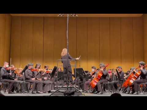 2021 TMEA Region 25 Brahms Orchestra |
