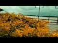 Suhana Safar Aur Yeh Mausam Status New Love Feeling Nature Whatsapp Status RANA