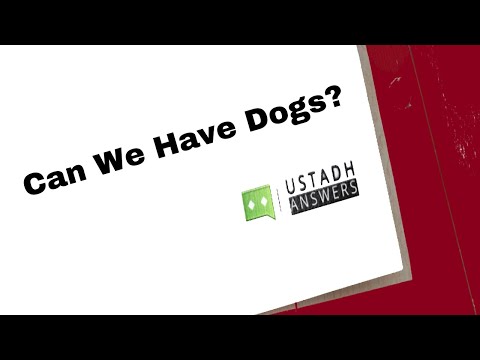 𝗖𝗮𝗻 𝗪𝗲 𝗛𝗮𝘃𝗲 𝗗𝗼𝗴𝘀? | 𝗨𝘀𝘁𝗮𝗱𝗵 𝗔𝗯𝗱𝘂𝗹𝗿𝗮𝗵𝗺𝗮𝗻 𝗛𝗮𝘀𝘀𝗮𝗻