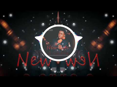 New Life ,By C-Shinoa