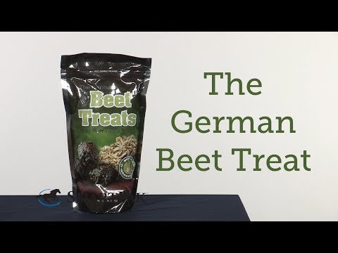 download lagu mp3 mp4 Fibre Beet Ingredients, download lagu Fibre Beet Ingredients gratis, unduh video klip Fibre Beet Ingredients