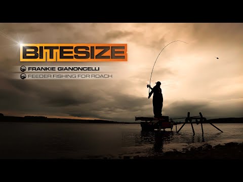 Feeder Fishing For BIG Wild Roach! | Guru Bitesize #022