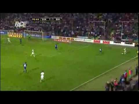 Izet Hajrovic Goal - Slovacka 1:2 Bosna