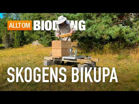 Skogens bikupa i Värmebehandlat trä | Skogens Biredskap