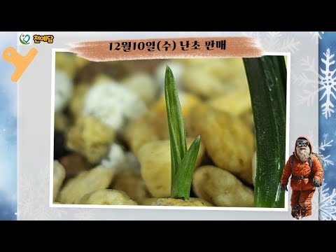 유튜브 썸네일