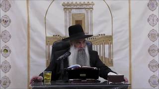 הרב שי פרי - הגדה של פסח