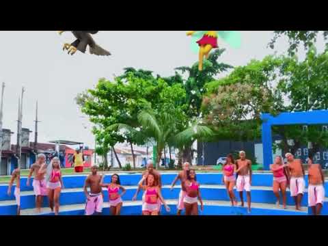 impressionante - seja fada e os neiff ( coreografia oficial )