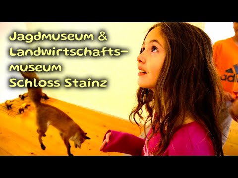 Das Jagdmuseum Stainz - faszinierende Natur