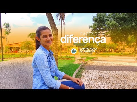 Um Ano de Muito Trabalho